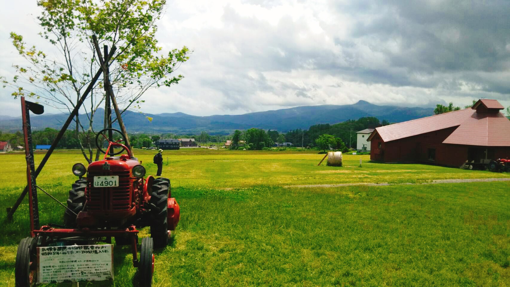 高橋牧場プラティーヴォの野菜ビュッフェランチ！in ニセコ