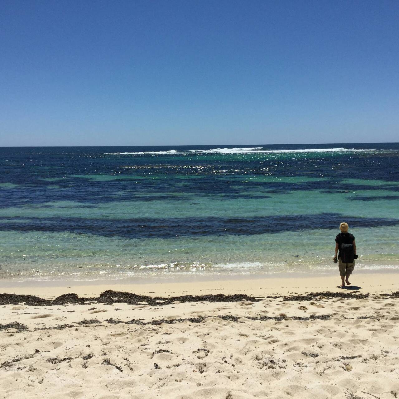 ロットネストアイランド日帰り旅行！パース in AUS