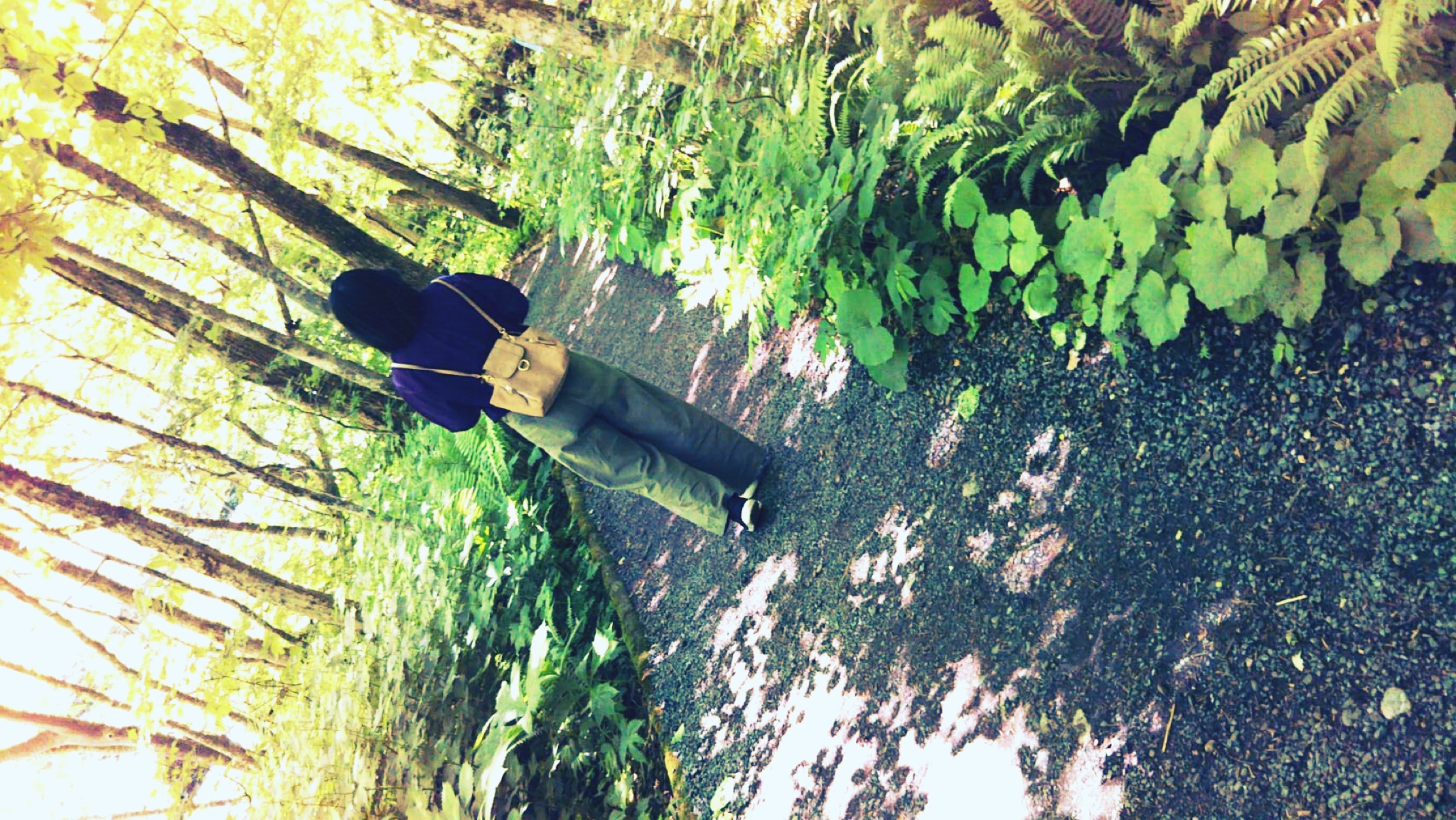 奥入瀬渓流をめぐる！サイクリングで楽々観光