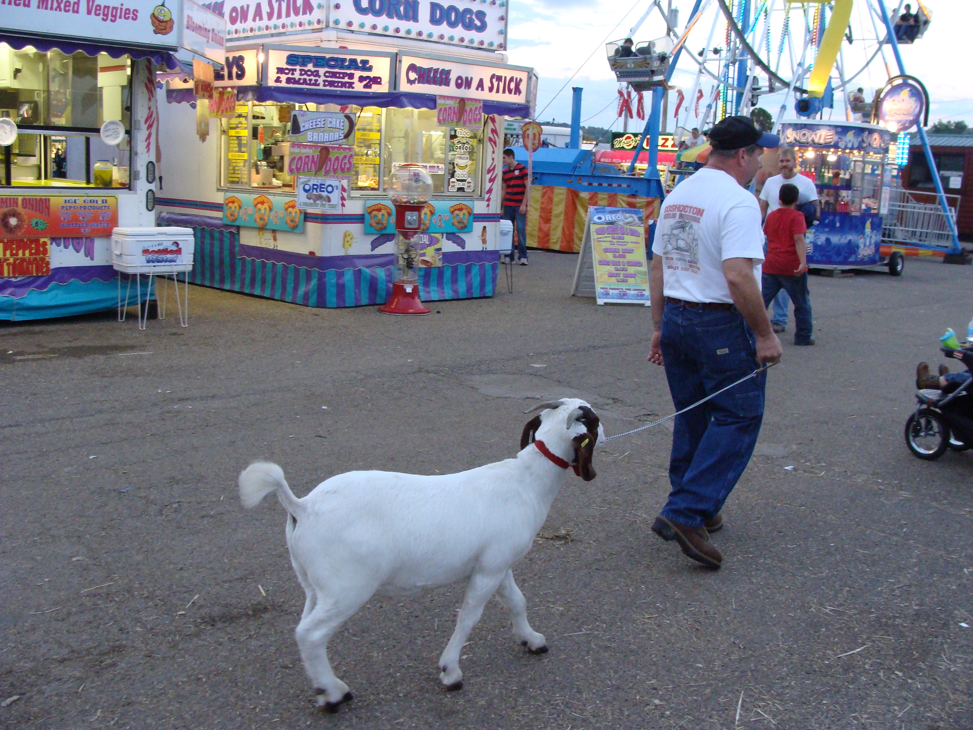 Coshocton County Fair
