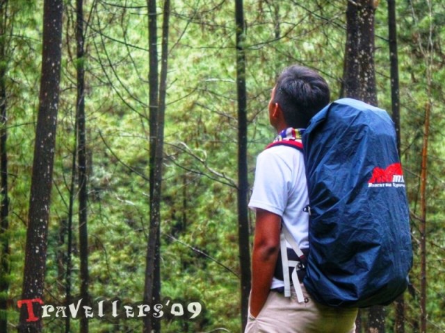 packing carrier