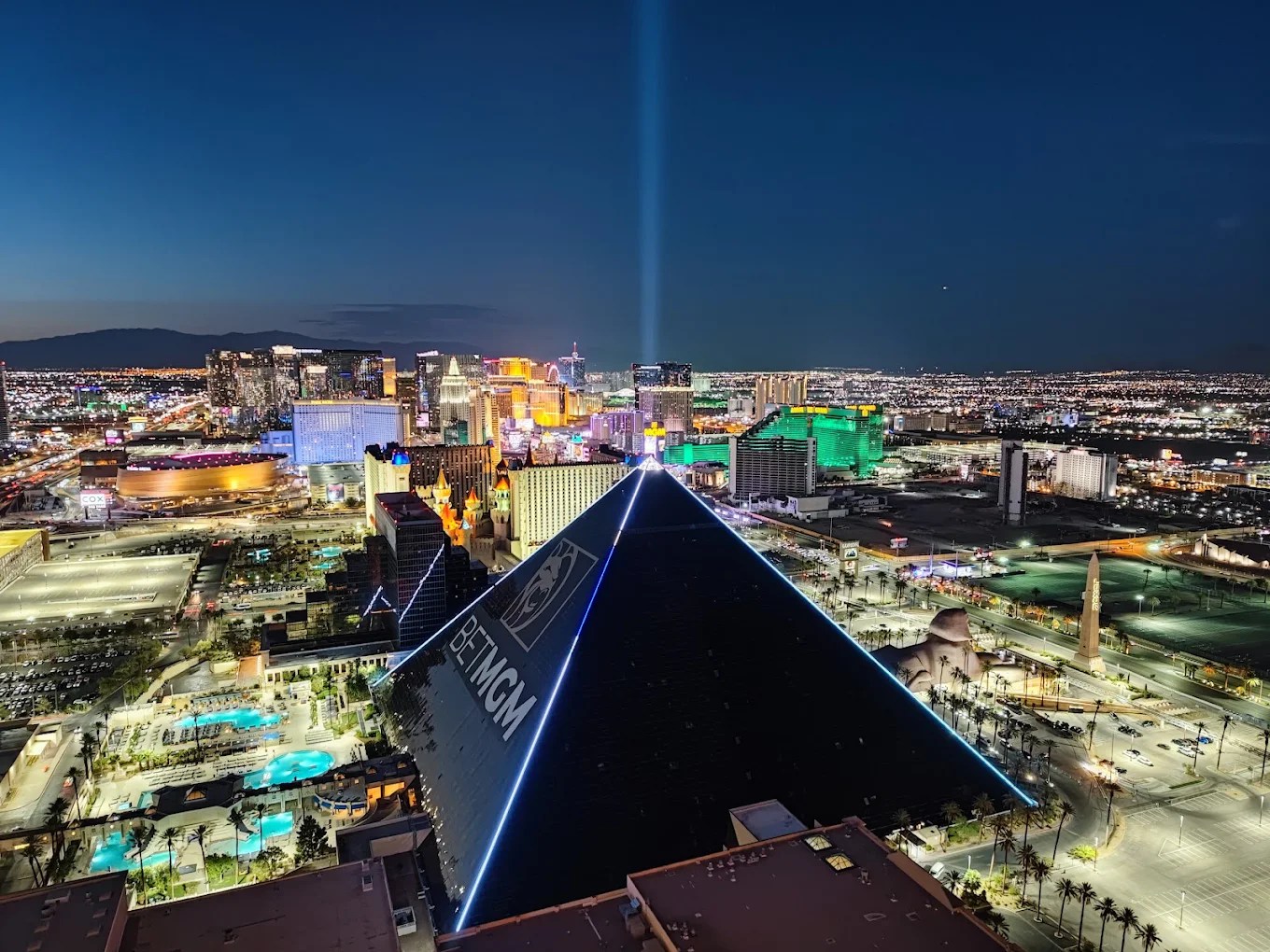 12 Best Pet-Friendly Hotels on the Las Vegas Strip (2026 Guide)
