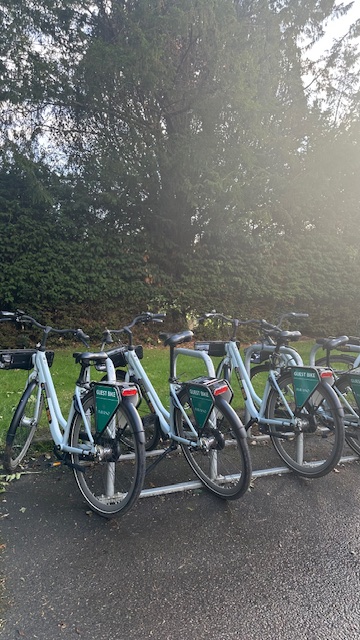 Bikes lined up in the garden