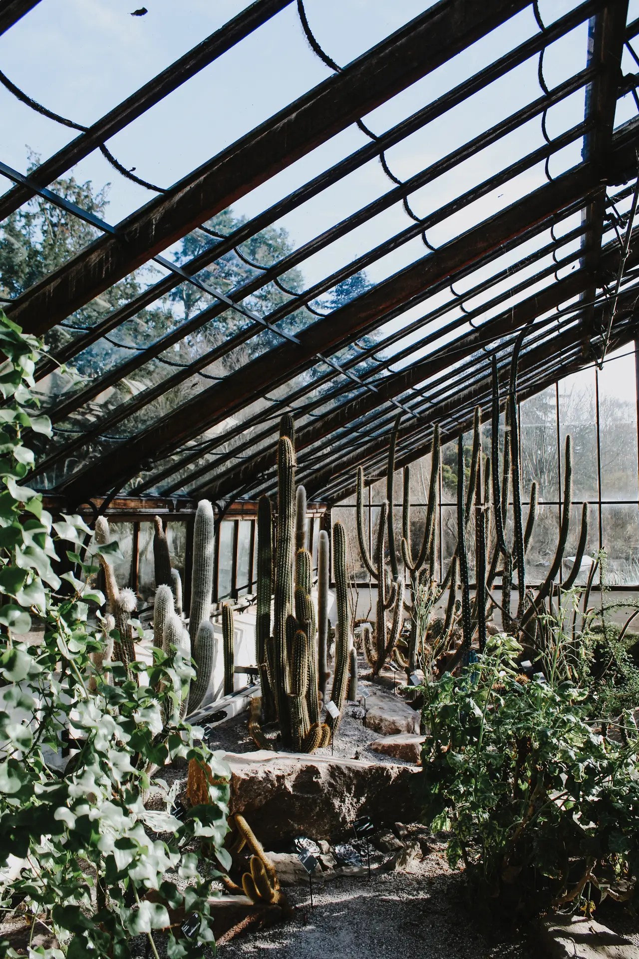 Guide to Cambridge University Botanic Garden