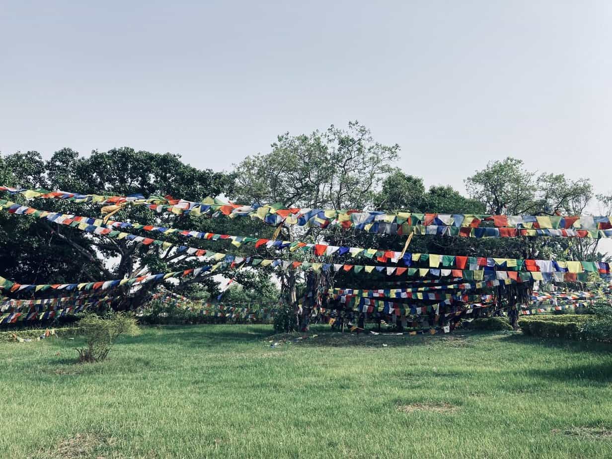 How to Travel to Lumbini, Nepal (By Bus, Flights)