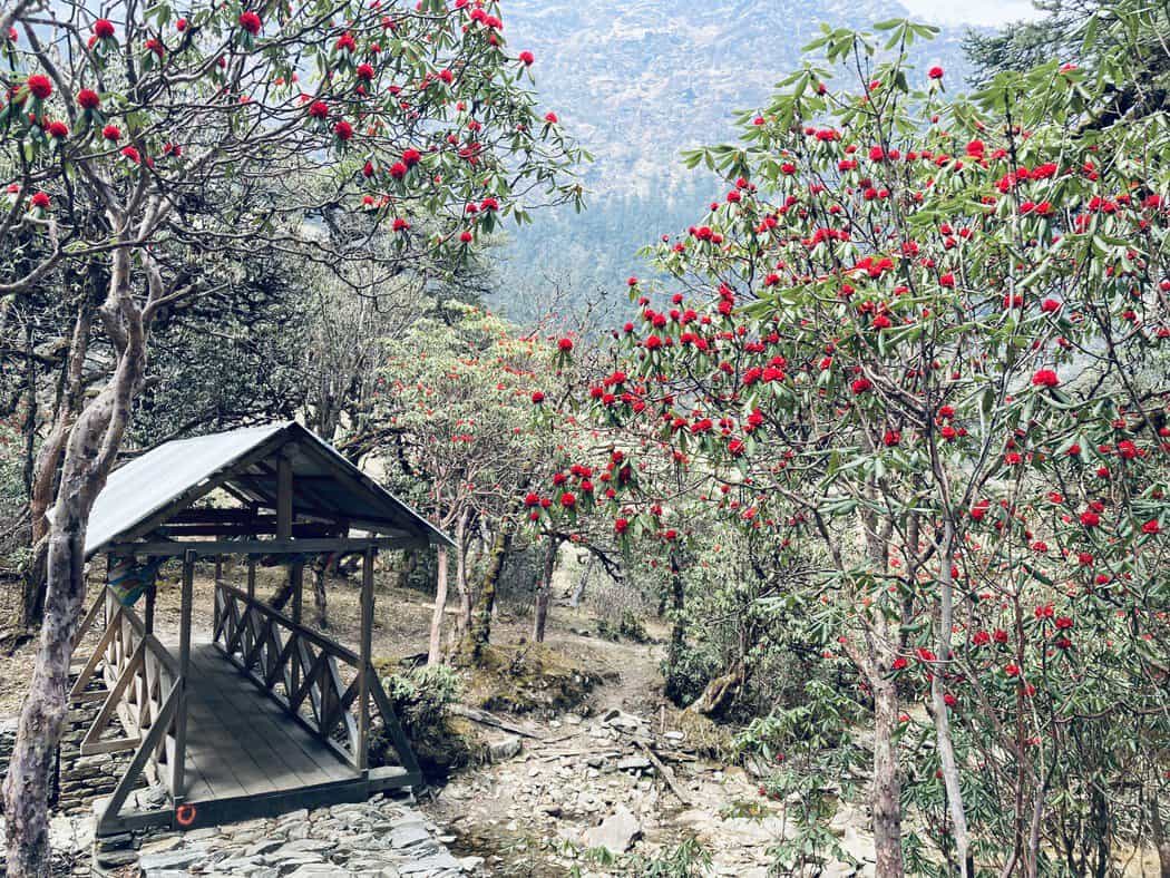 April in Nepal: Weather & 10 Best Places to Visit (2026)