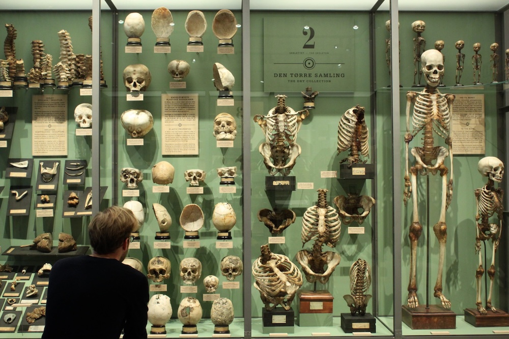 10 Unusual Museums in Denmark: The Quirky & Alternative Museums You Need to Visit