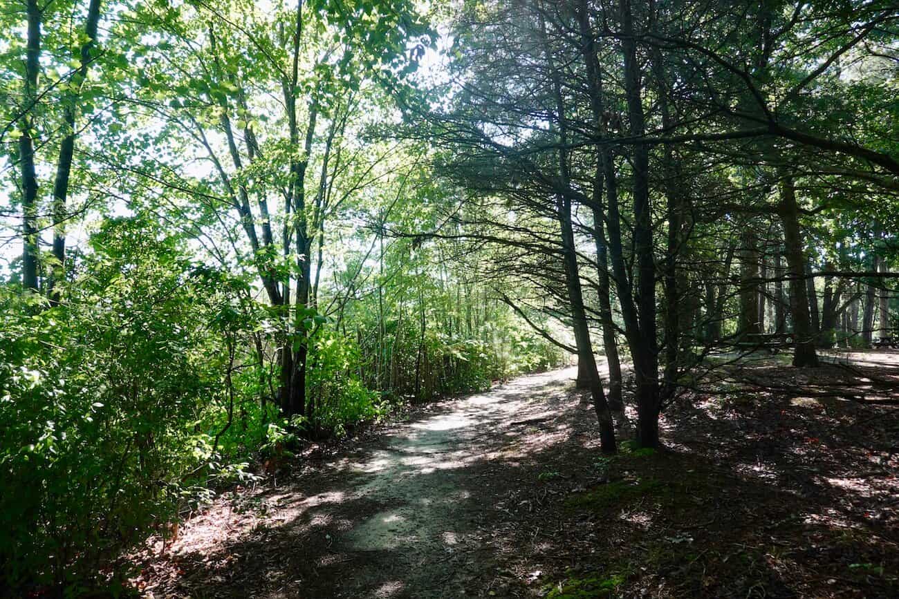 Trap pond state park: beyond the beaches in delaware