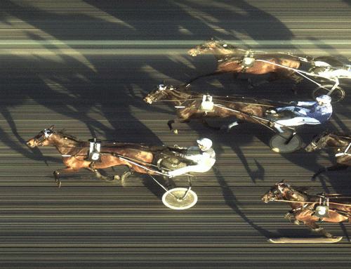 Touch My Shadow vandt sin fjerde sejr i år trods galop og en rejse i dødens.