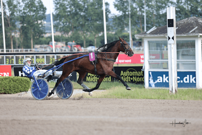 Bo Westergaard atter til start på Bjerke