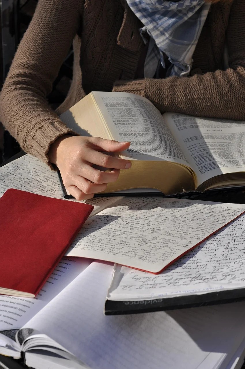reading, studying, read, study, studying, studying, studying, studying, study, study, study, study, study