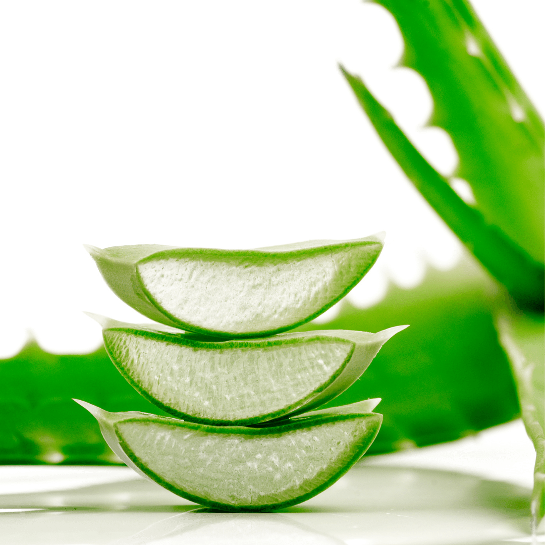 Aloe Vera Extract (X200) - TREASURE ACTIVES