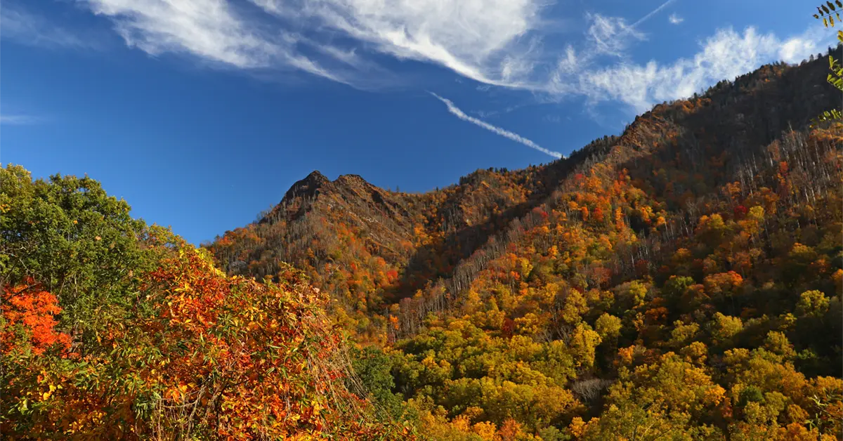 Chimney Tops
