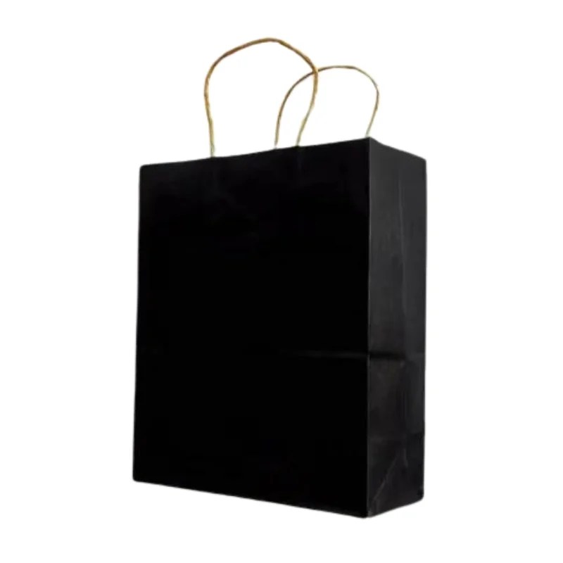 Gift Bag With Rope Handle (XL) – Black – 16″H X 12″L X 5″W In Sri