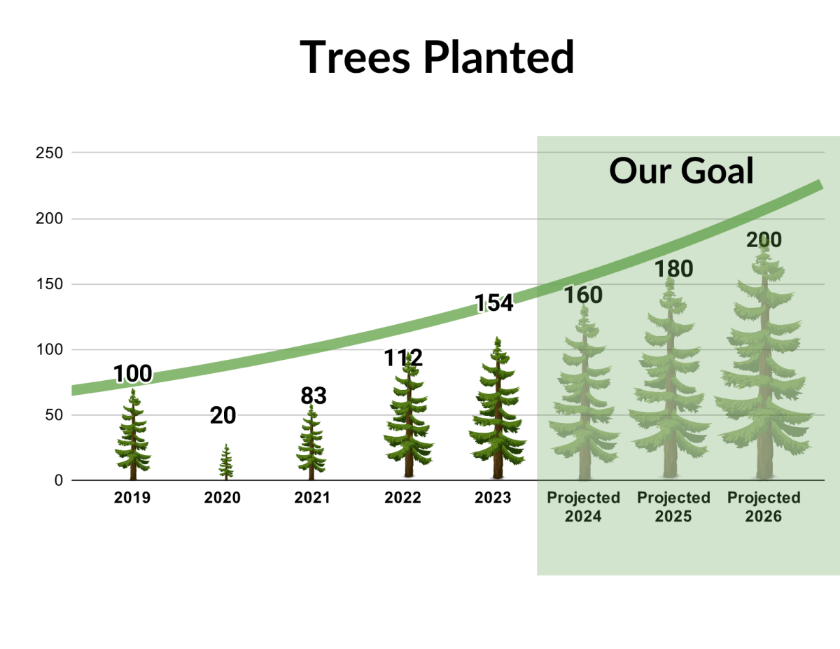 Guiding Our Growth Our 2024 2026 Strategic Plan Tree Boston 2 