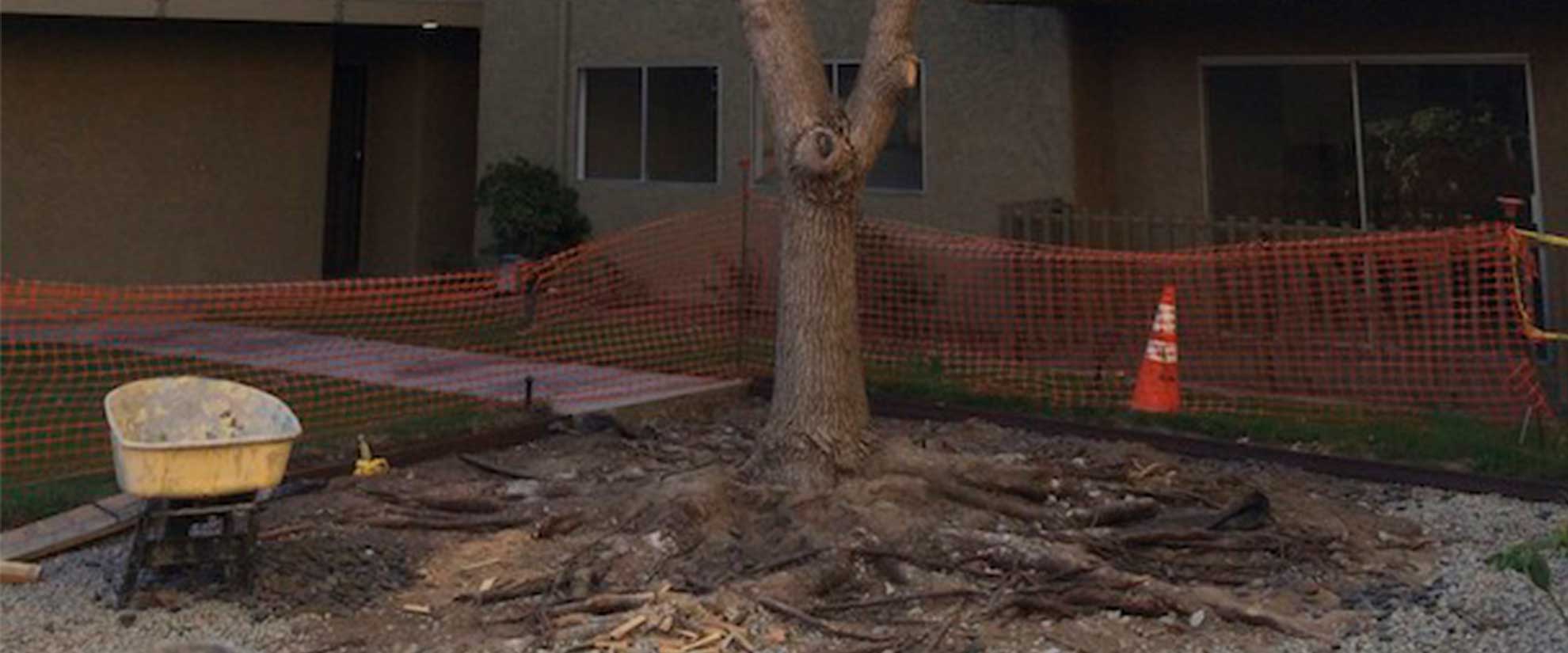 Healthyourself Dr Salma Mirza