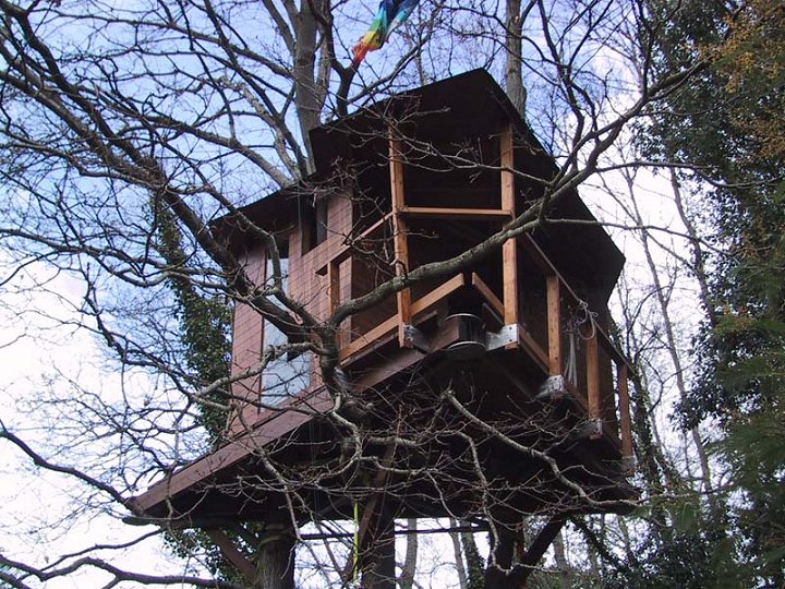 Nel bosco cittadino di celje, su un'altura naturale lungo il sentiero, è stata costruita una casa sull'albero che funge da punto d'osservazione. La Casa Sull Albero Tree Climbing Italia