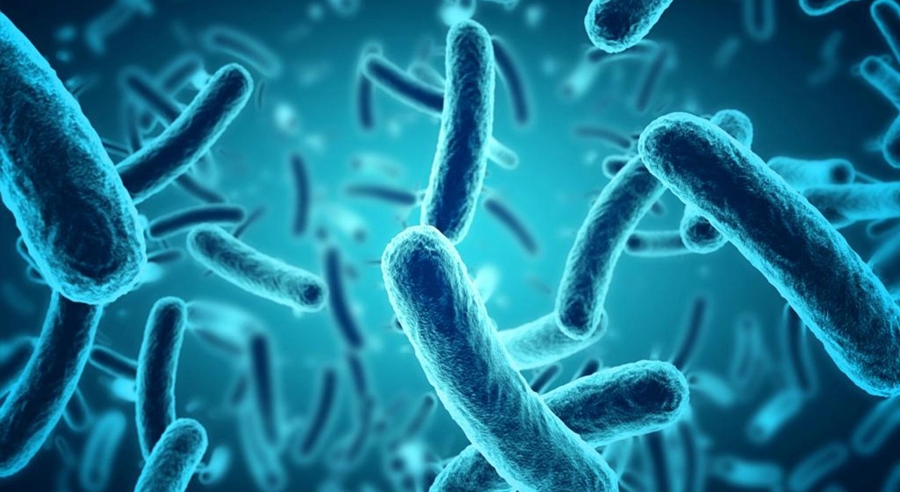 Blue infographic illustrating bacteria as root cause of Alzheimer's, stroke, and diabetes in new study