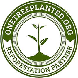 Nature's recyclers: the decomposers