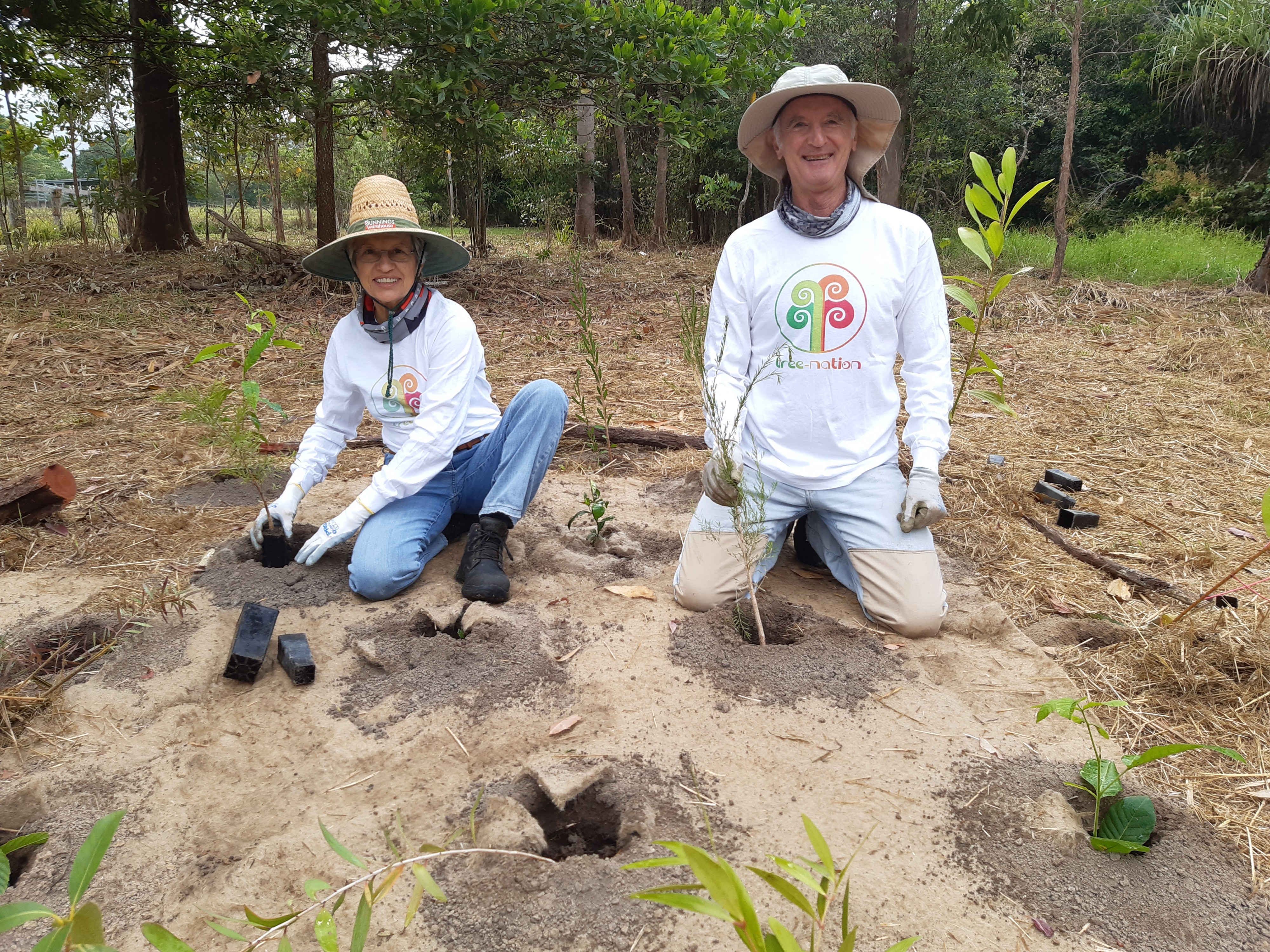 Insects Topics Tree Nation Forestry Knowledge Database