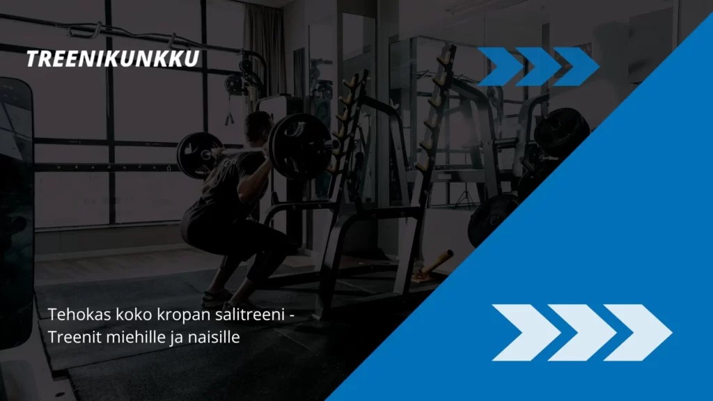 tehokas koko kropan salitreeni