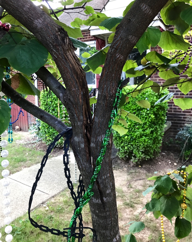 Can This Tree Be Saved?