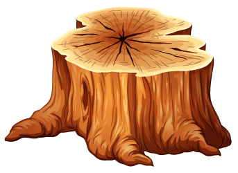 Tree Stump
