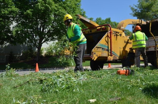 Subcontracted Tree Services