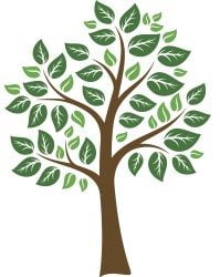 Single Tree graphic