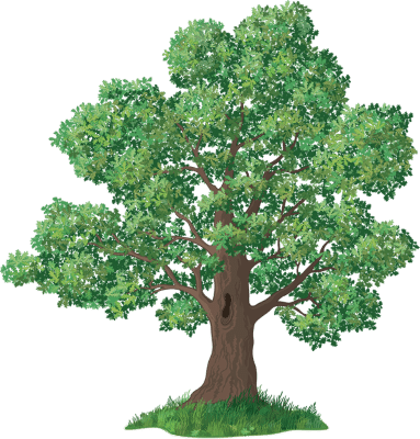 Tree with Structurally Sound Branches