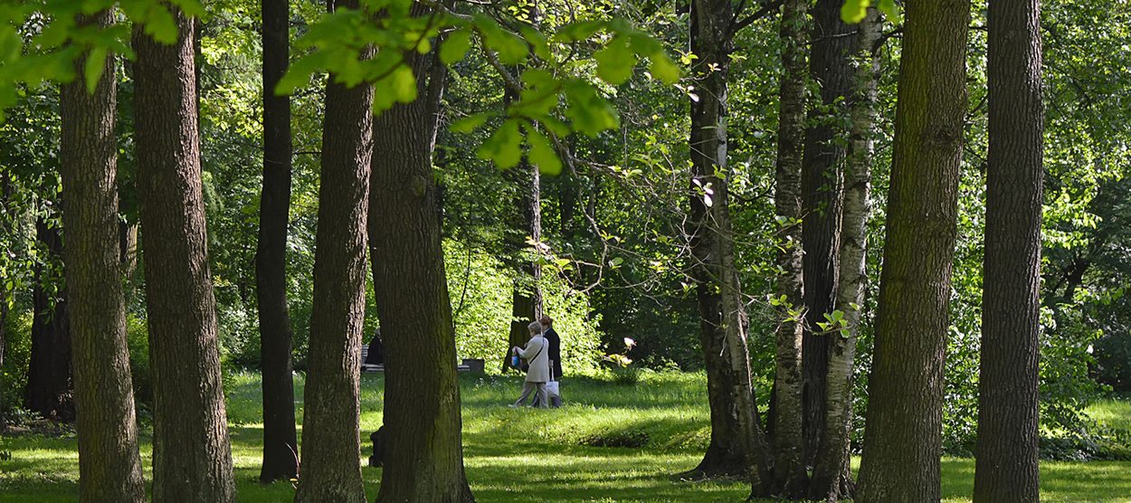 Trees