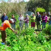 food forest workshop, Portugal