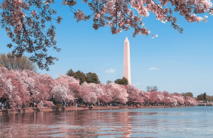 Best Time to Visit United States