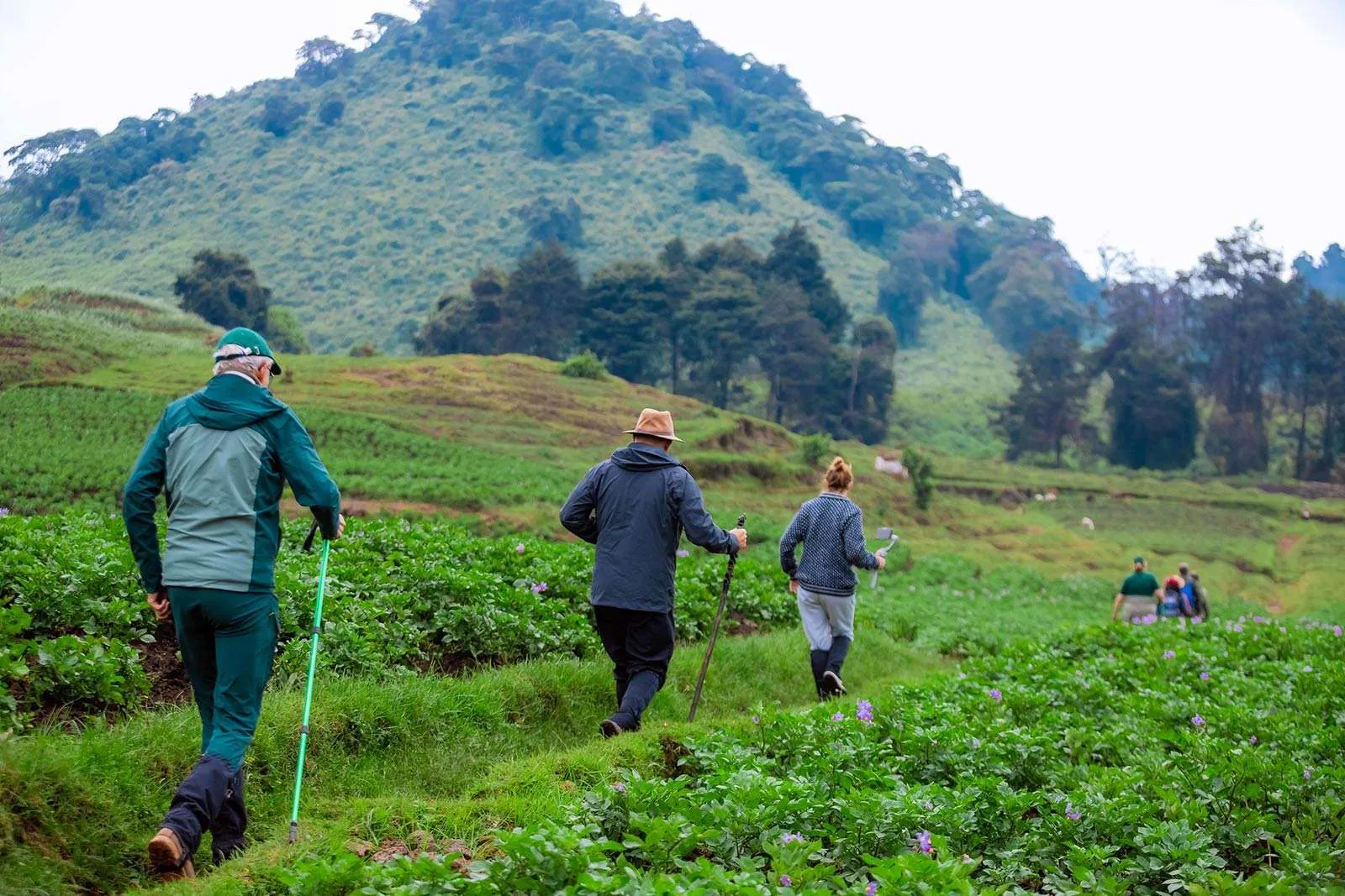 How Safe Is Rwanda for Tourists