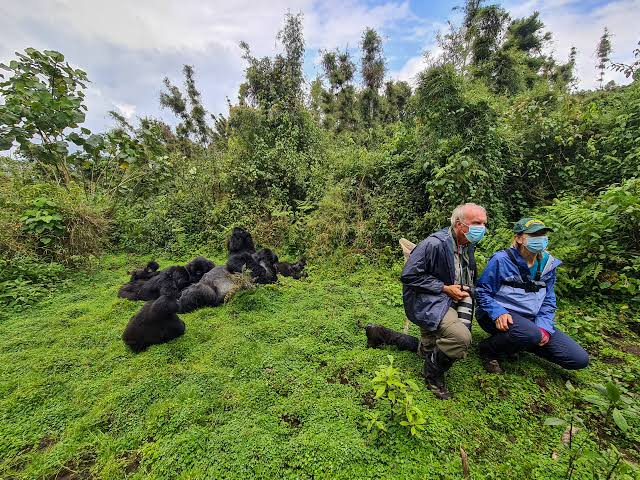 Christmas Rwanda Safari