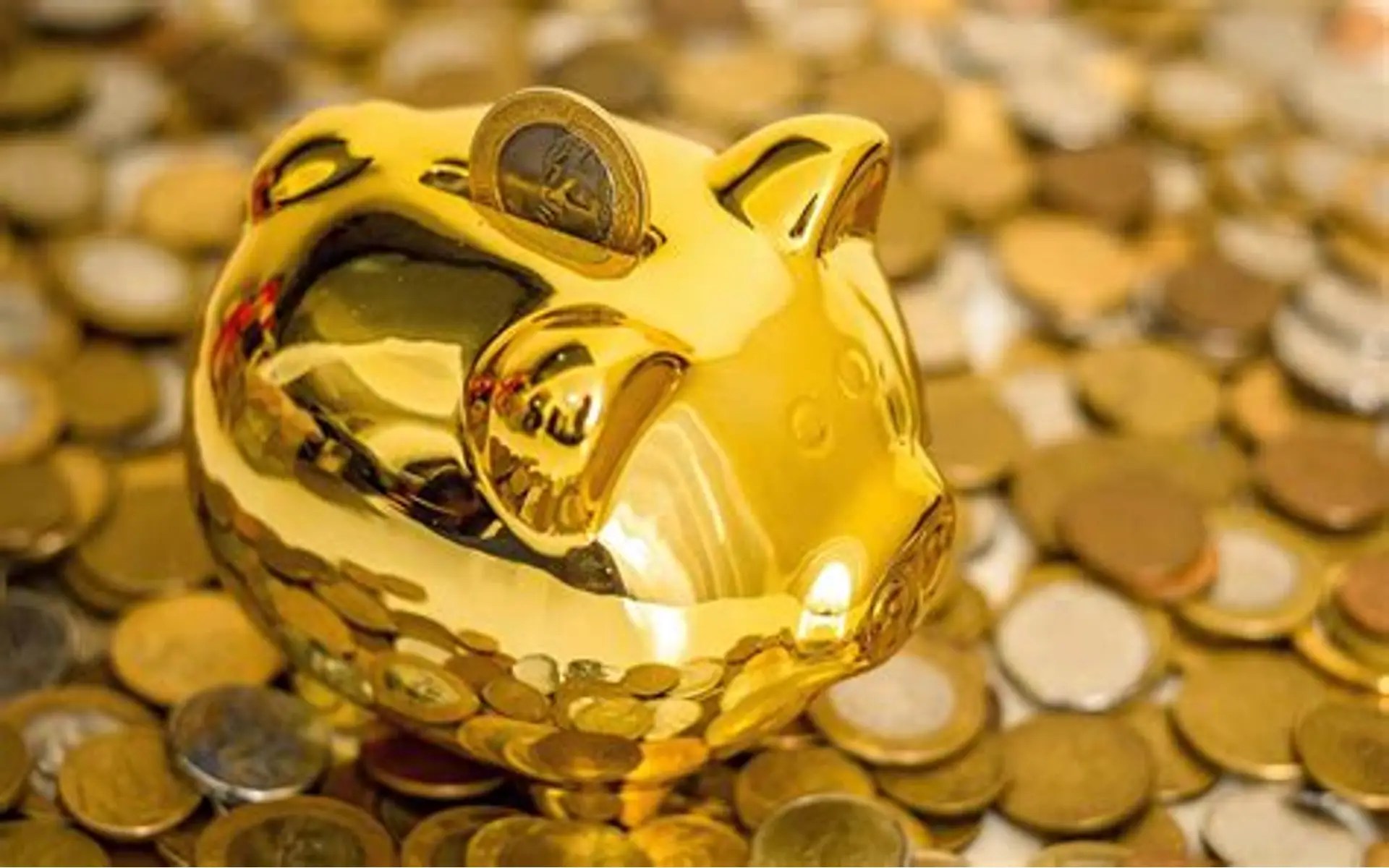 HSBC Mutual Fund Reopens Three International Schemes for Fresh Investments