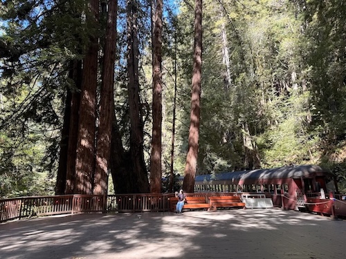 Skunk Train's Pudding Creek Express at Blair Junction