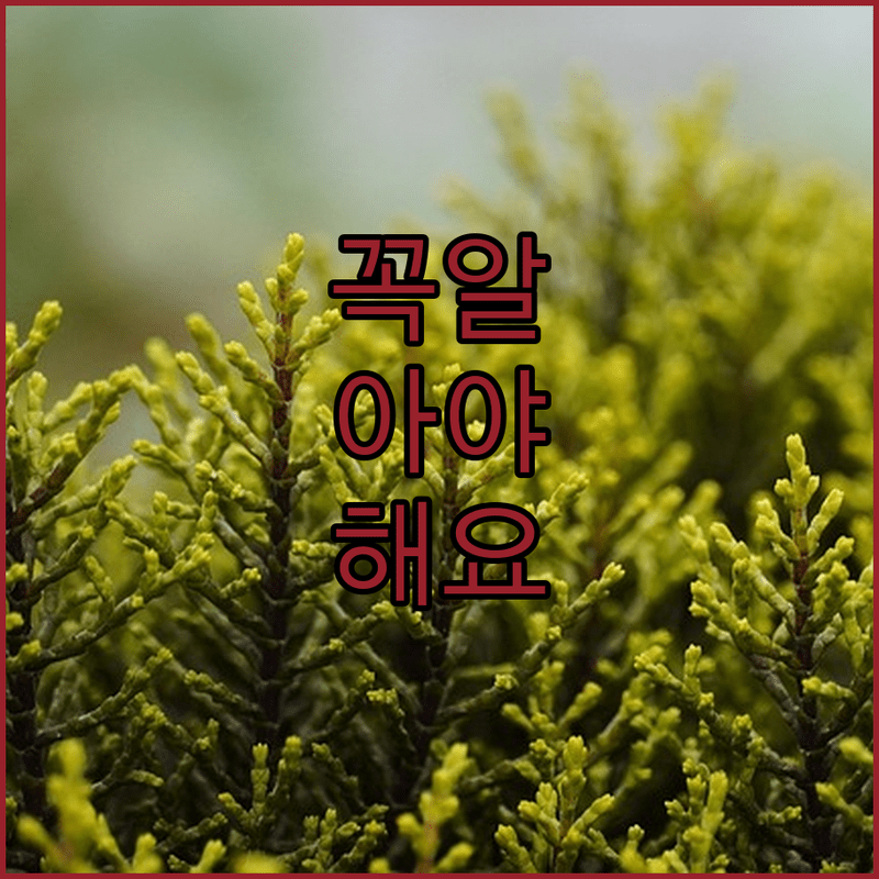 넥스트큐어 NC605, 뼈 질환 치료 패러다임 바꾼다!