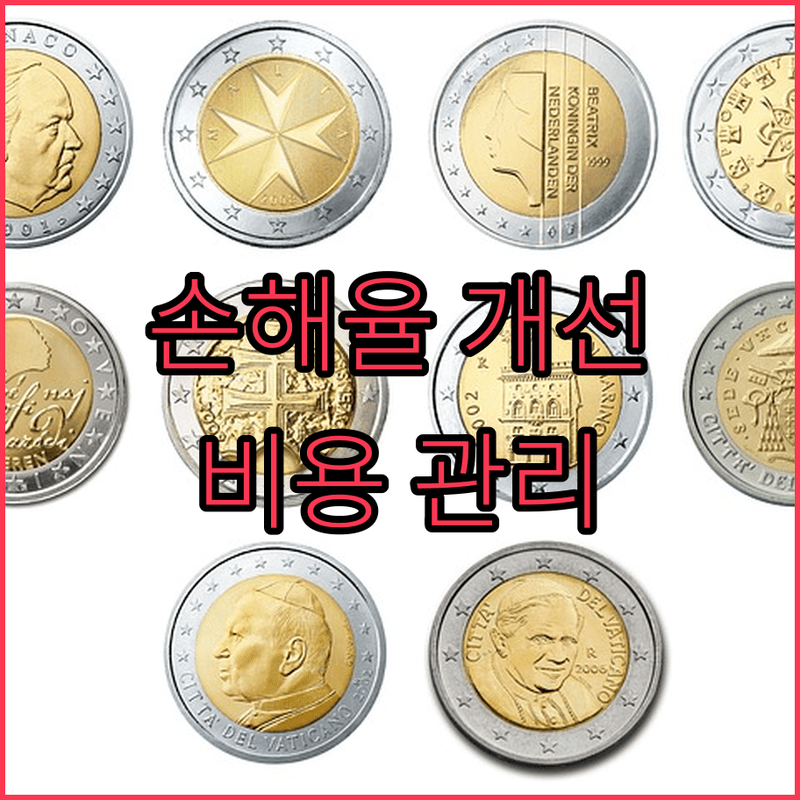 손해율 80bp 개선! 제네랄리의 똑똑한 비용 관리, 핵심은?