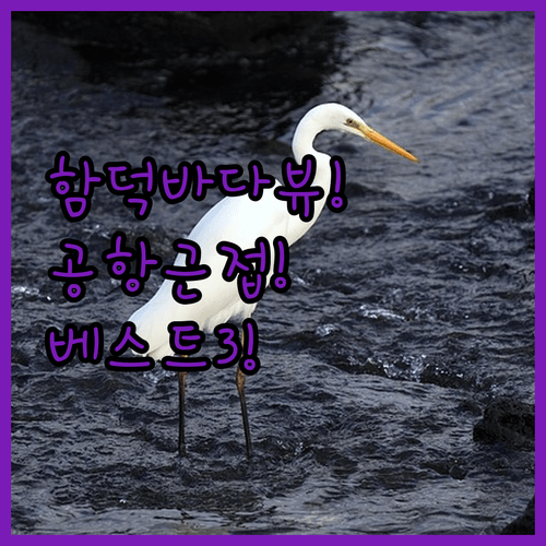 함덕 바다 뷰부터 공항 근접성까지, 제주도 숙소 추천 베스트 3