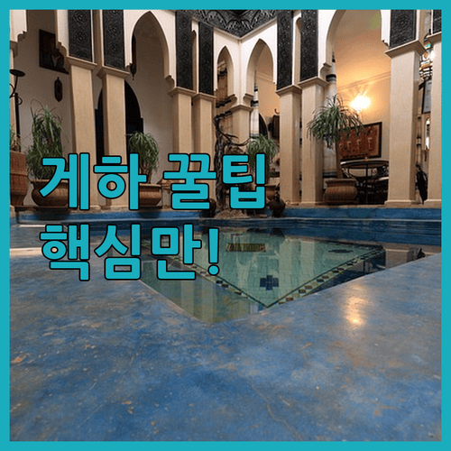 서울 게스트하우스 가성비 TOP 3, 홍대 명동 익선동 숙소 비교 분석