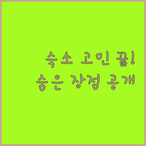 고리야마 여행 숙소 고민 끝! 이 3곳의 숨은 장점을 알아보세요