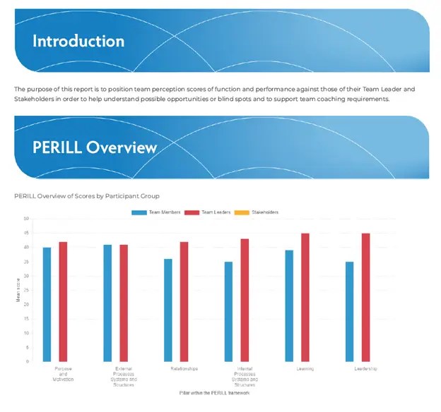 PERRILL Team Assessment