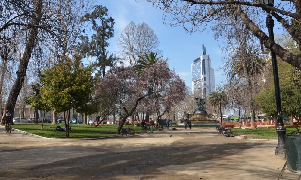 DSC_5146