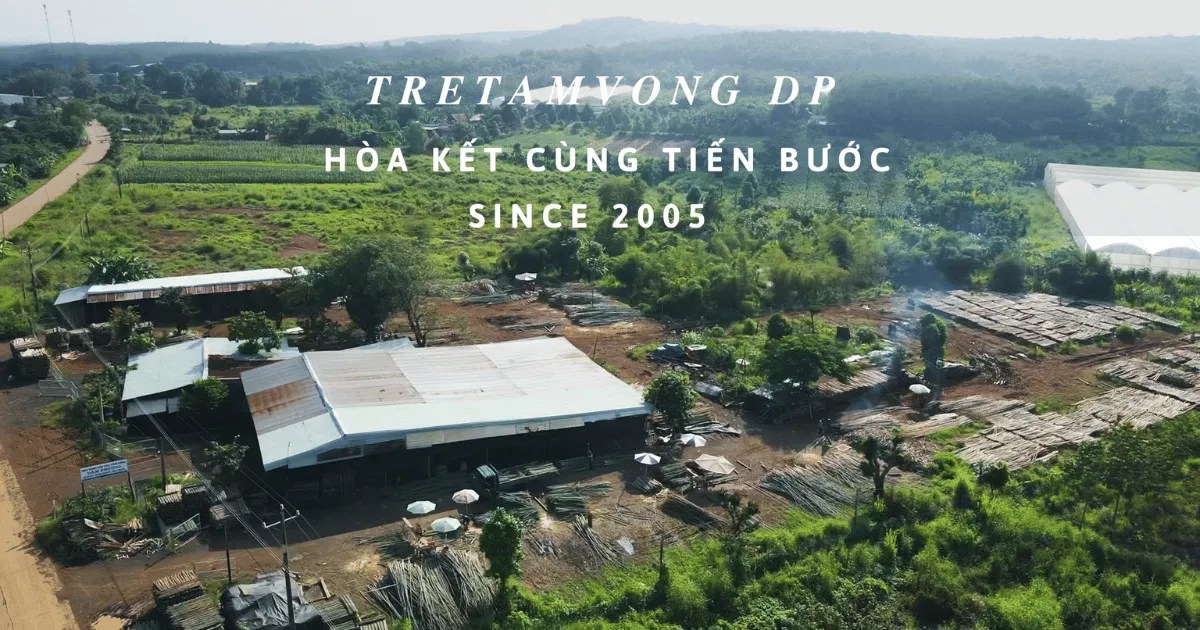 Cay tam vong dep va thanh lich