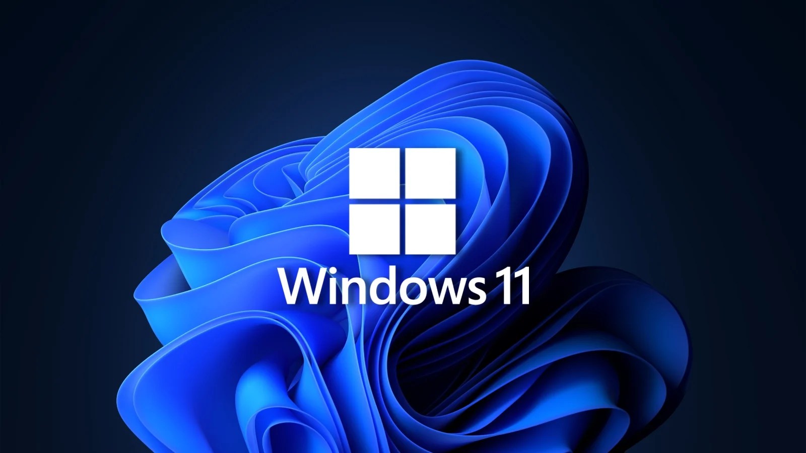 Windows 11 Logo and background