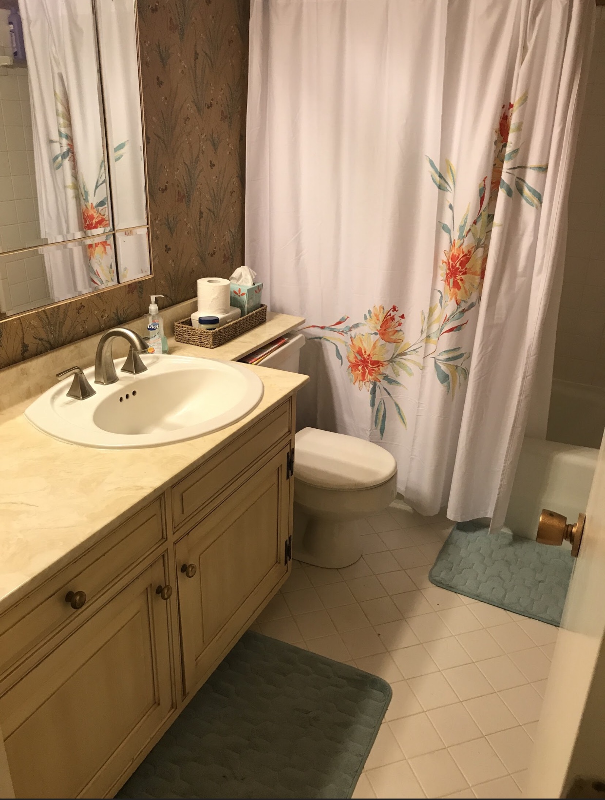 Whole home remodel, before