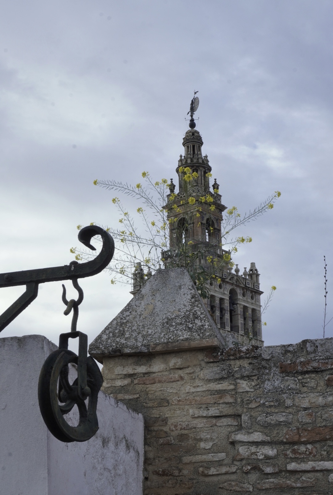 La Giralda de Sevilla desde una azotea del Patio de Banderas