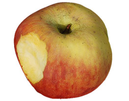 Free Models Neitra 3d Pro