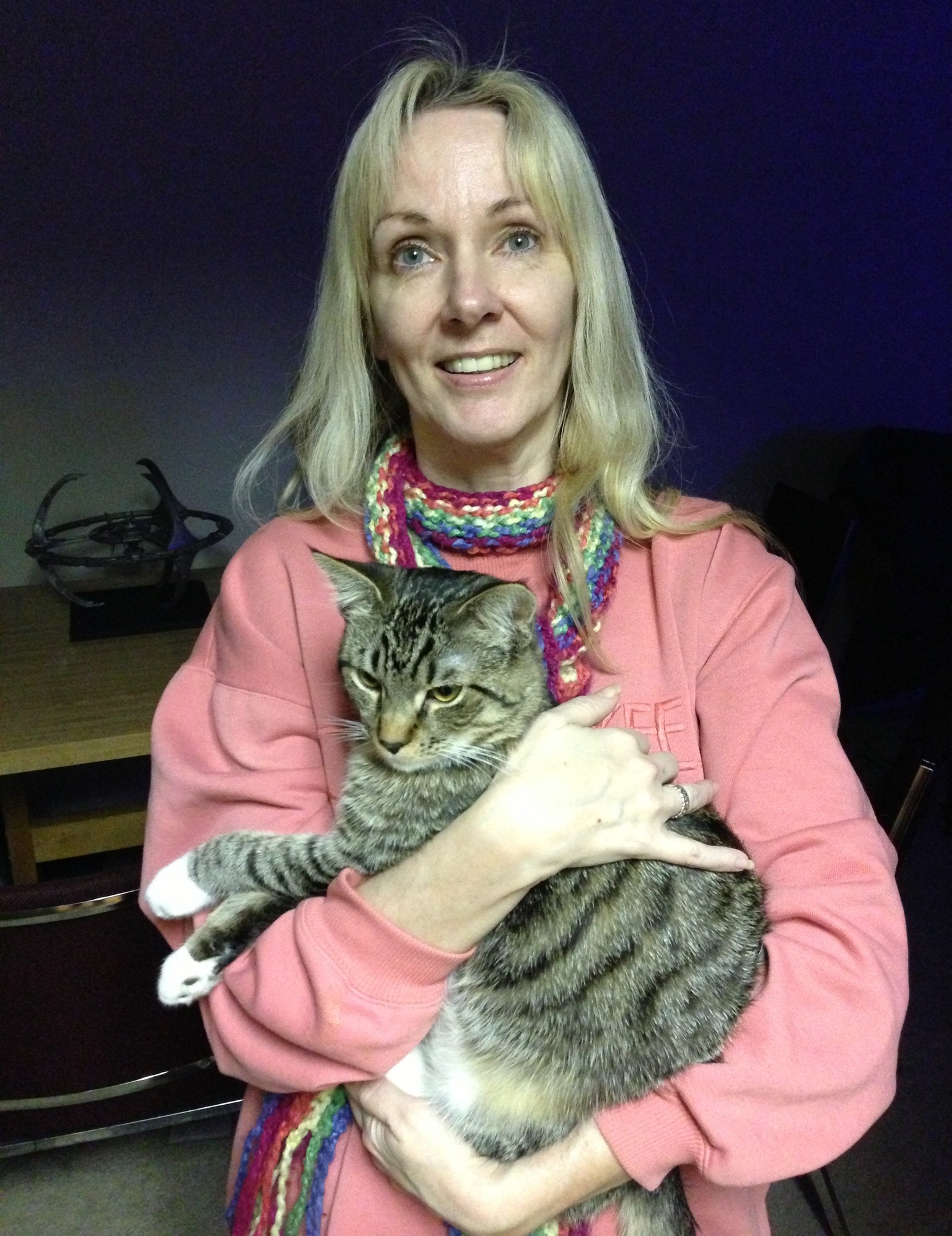 Rebecca knight stewart